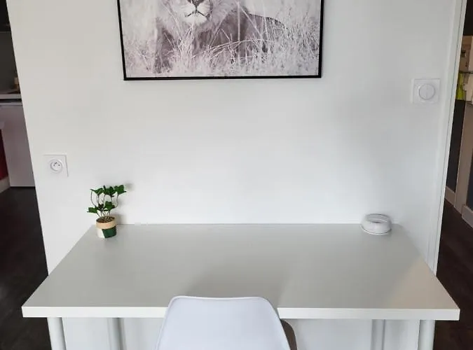 Un Bel Proche Centre Et 20 Mn Du Puy Du Fou Apartamento